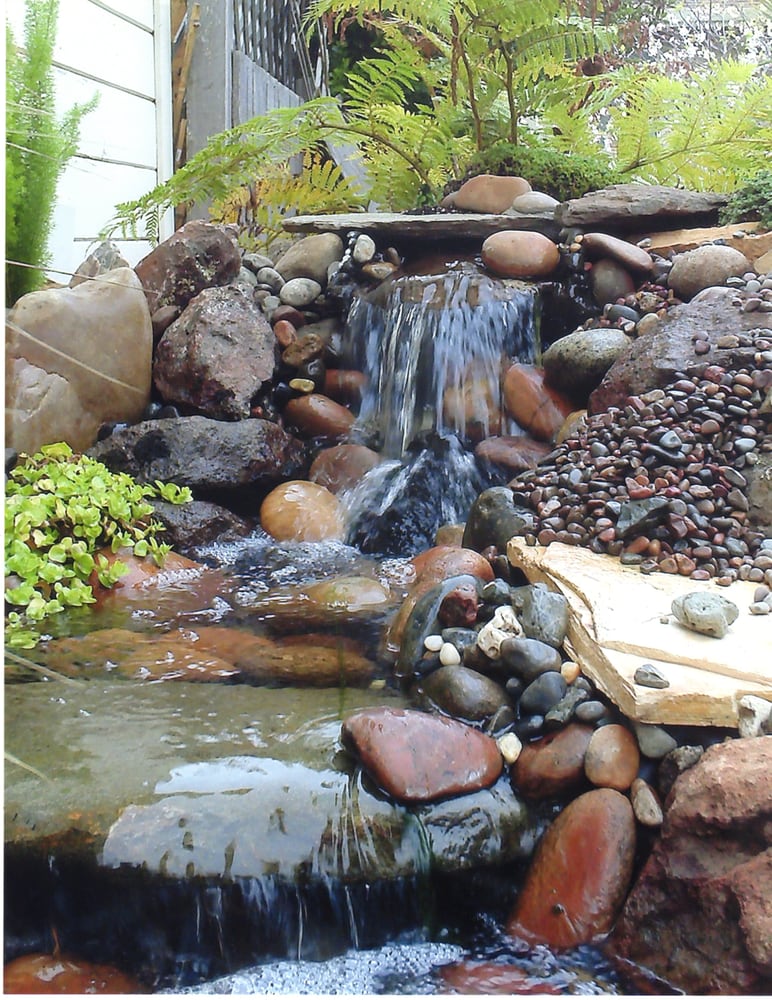 Photo of Danscapes