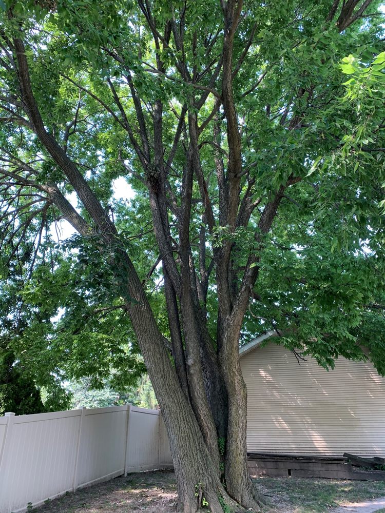 Photo of Kingdom Landscaping