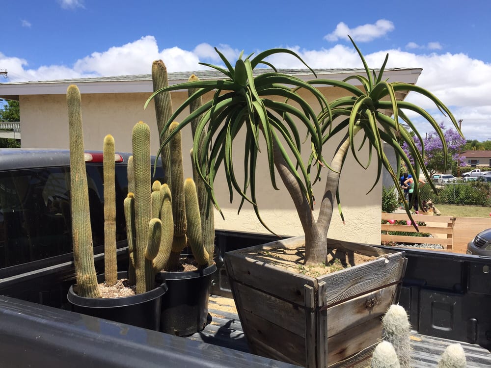 Photo of Desert Coast Designs