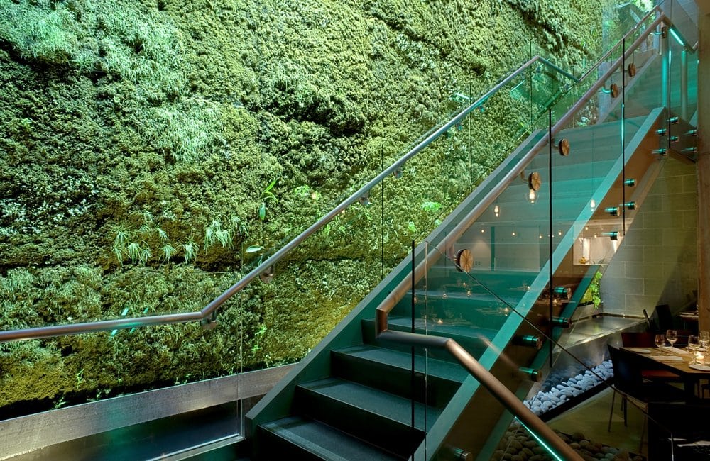 Photo of ASN Natural Stone