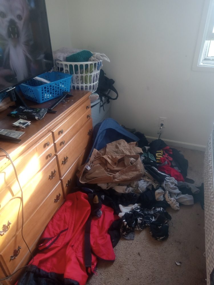 Photo of Pro31 Cleaning Services