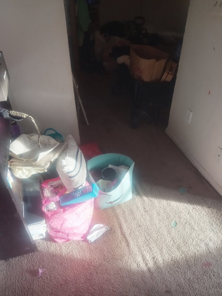 Photo of Pro31 Cleaning Services