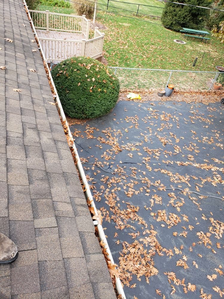 Photo of Miguel's Lawn Service