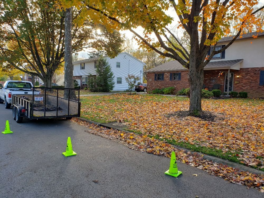 Photo of Miguel's Lawn Service