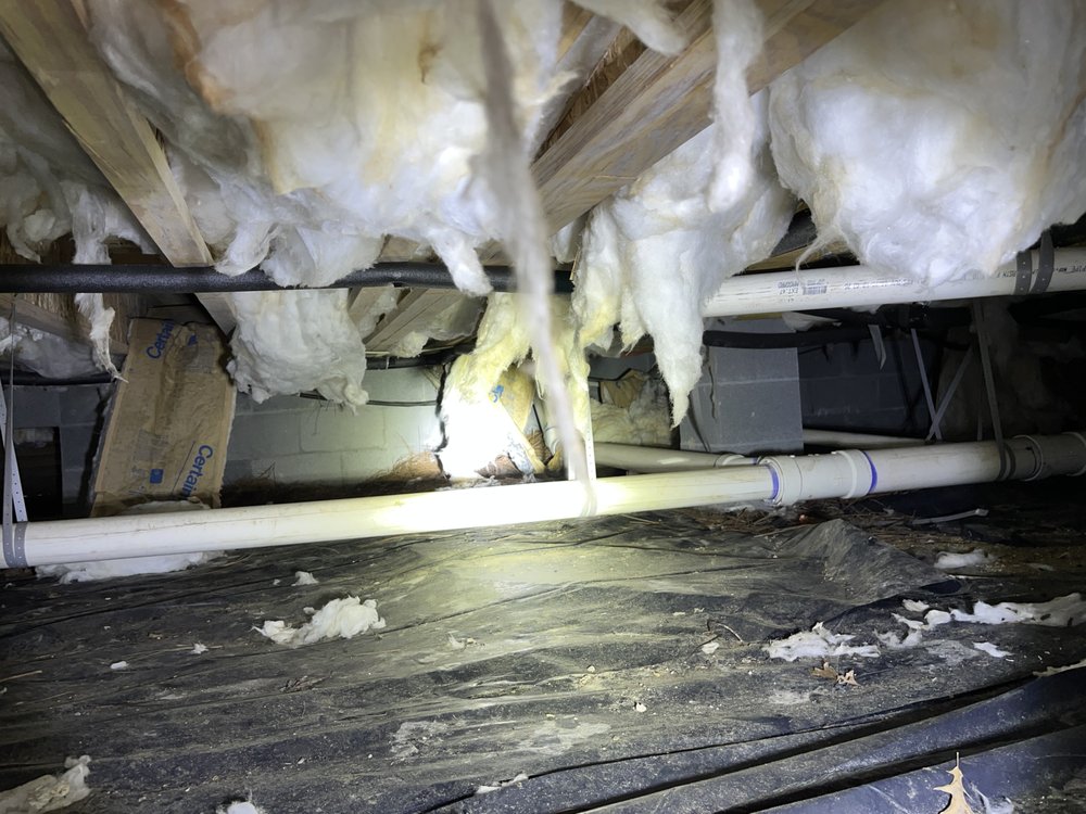 Photo of CrawlspaceER