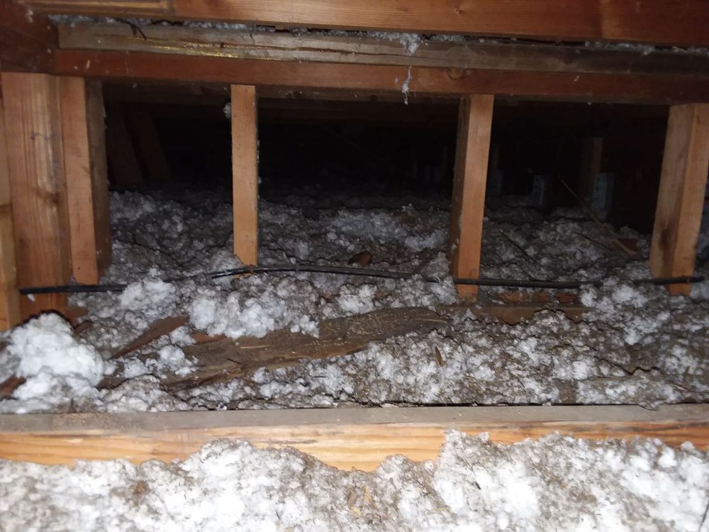 Photo of Attic 911 Service