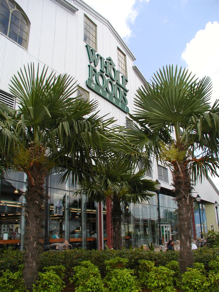 Photo of Artscape Land Design