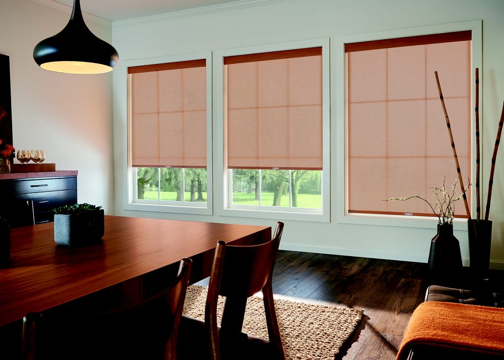 Photo of The Blinds Side