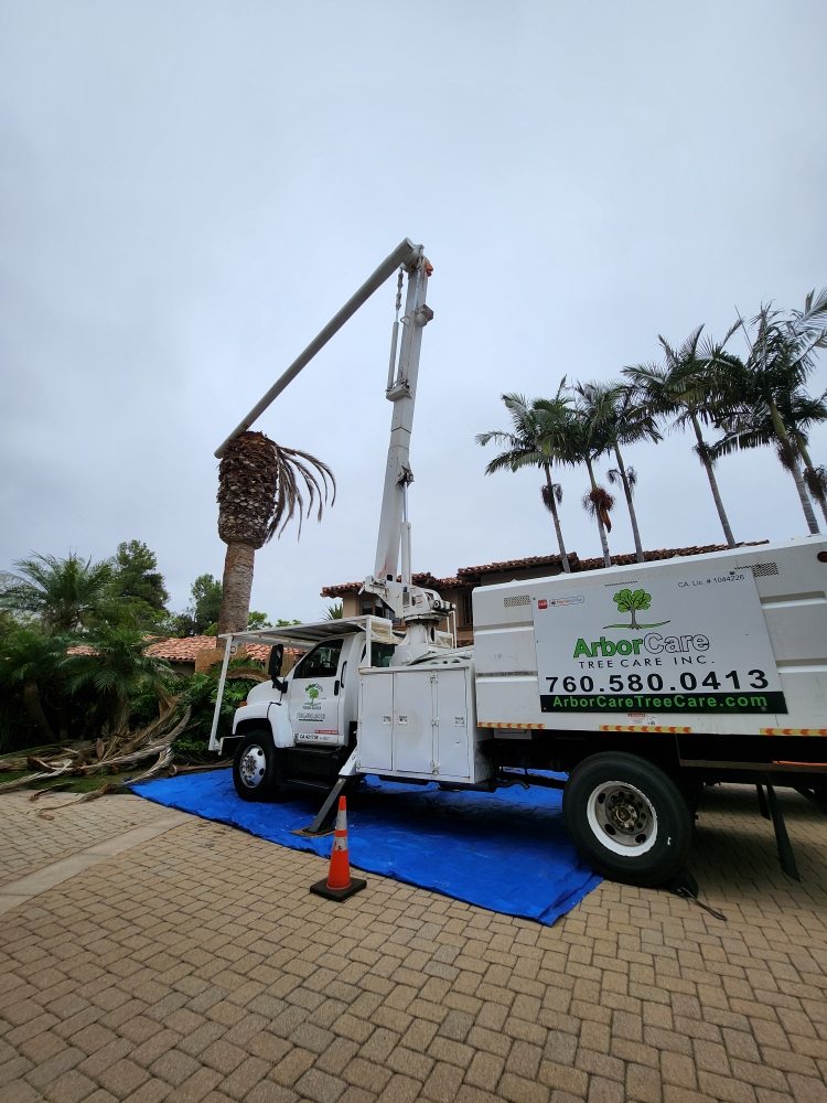 Photo of ArborCare Tree Care