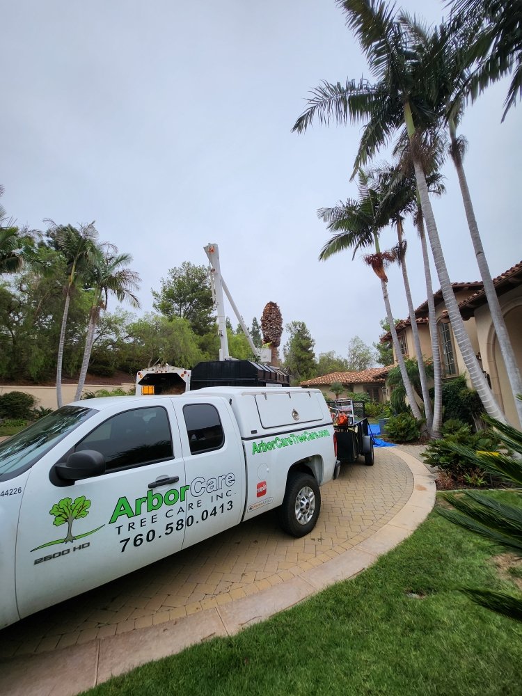 Photo of ArborCare Tree Care