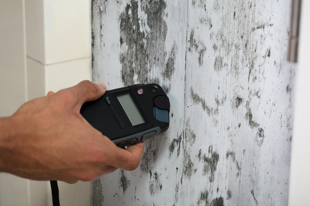 Photo of Minneapolis Water Damage Specialist 24/7, MN Mold Remediation