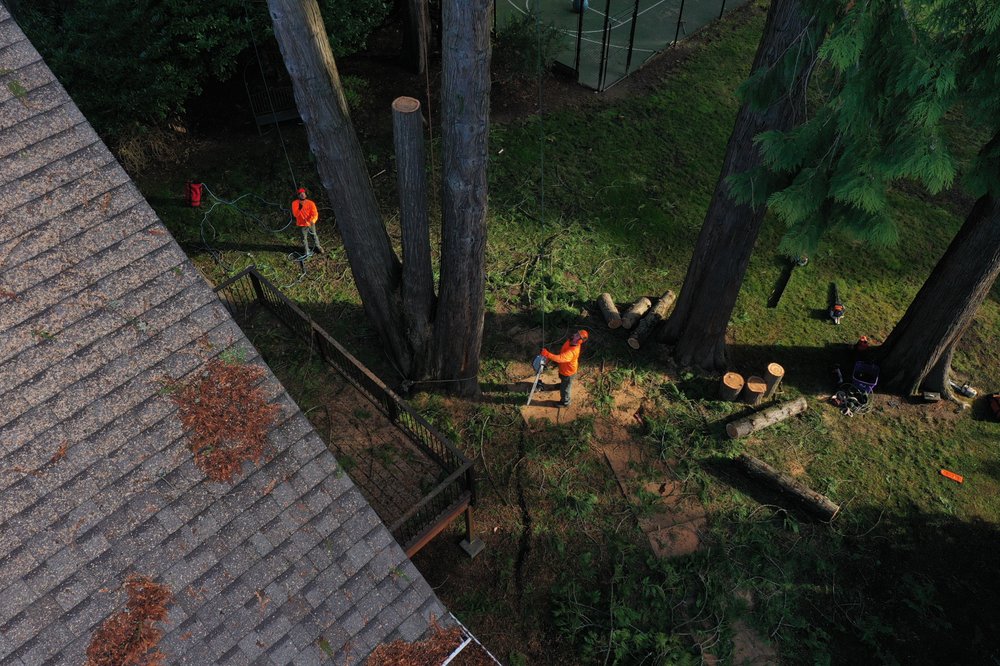 Photo of Morton Tree and Landscape Maintenance