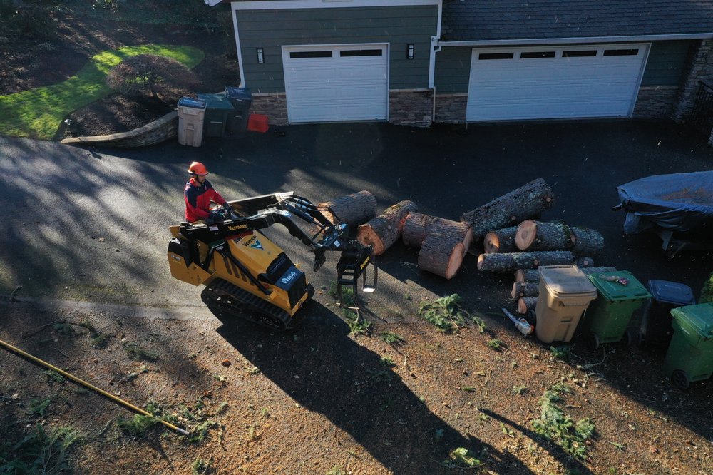 Photo of Morton Tree and Landscape Maintenance