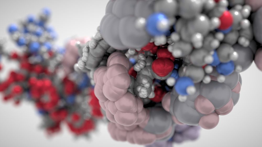Photo of DG Medical Animations