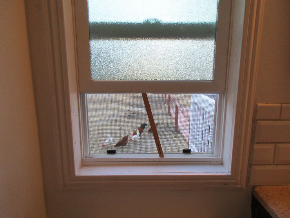 Photo of SOS Window & Screen Repair