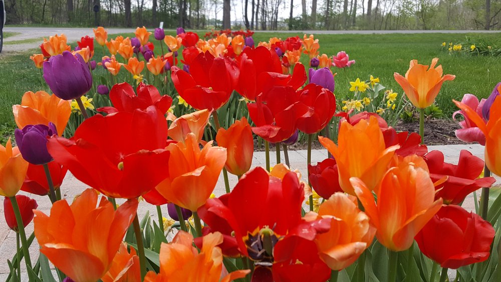 Photo of Salient Landscaping