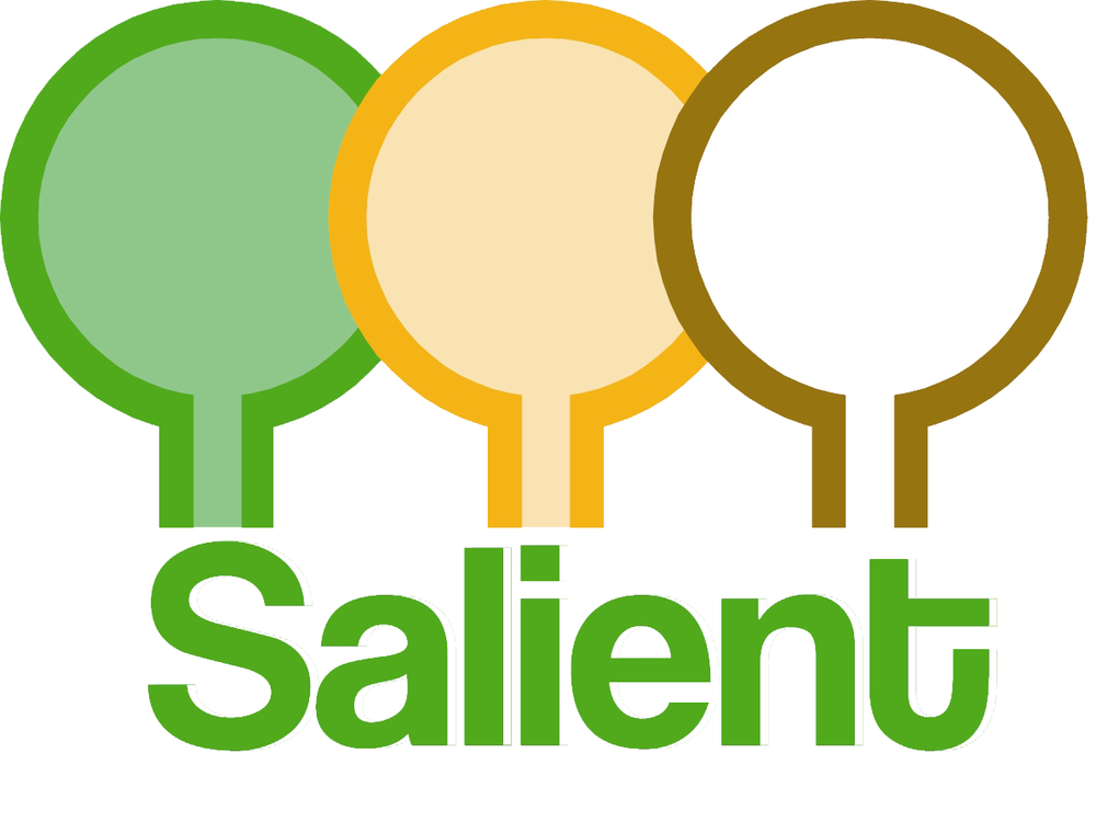 Photo of Salient Landscaping