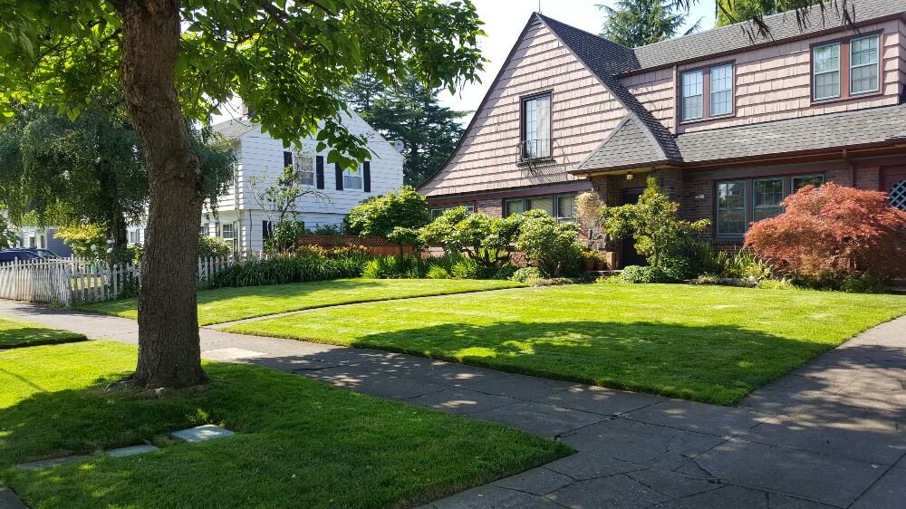 Photo of Mannnys Property Maintenance