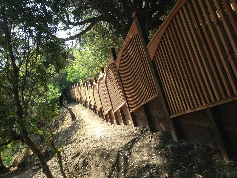 Photo of Juan Fencing