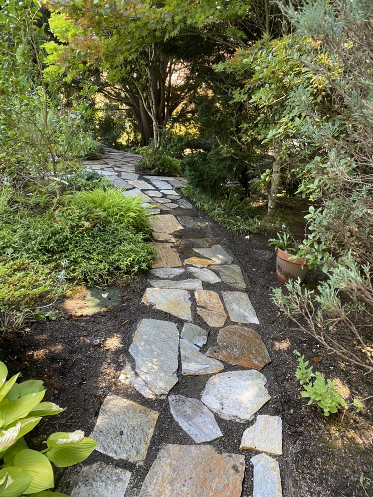 Photo of Precise Lawn Care