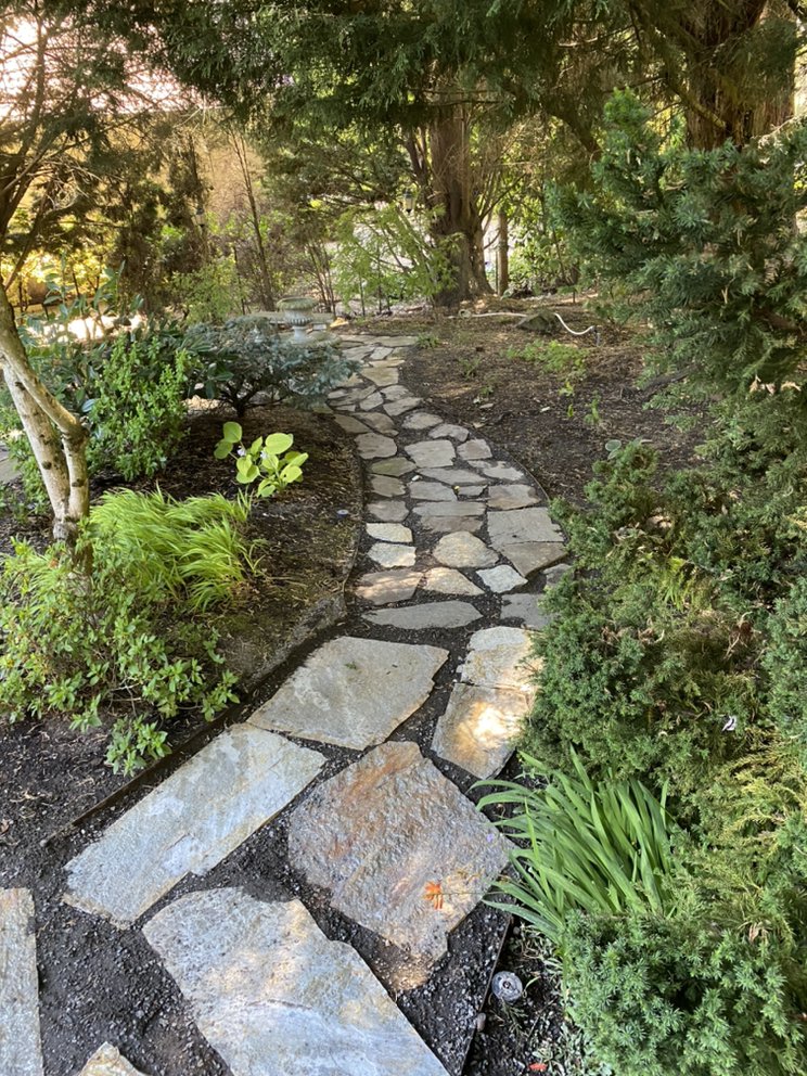 Photo of Precise Lawn Care