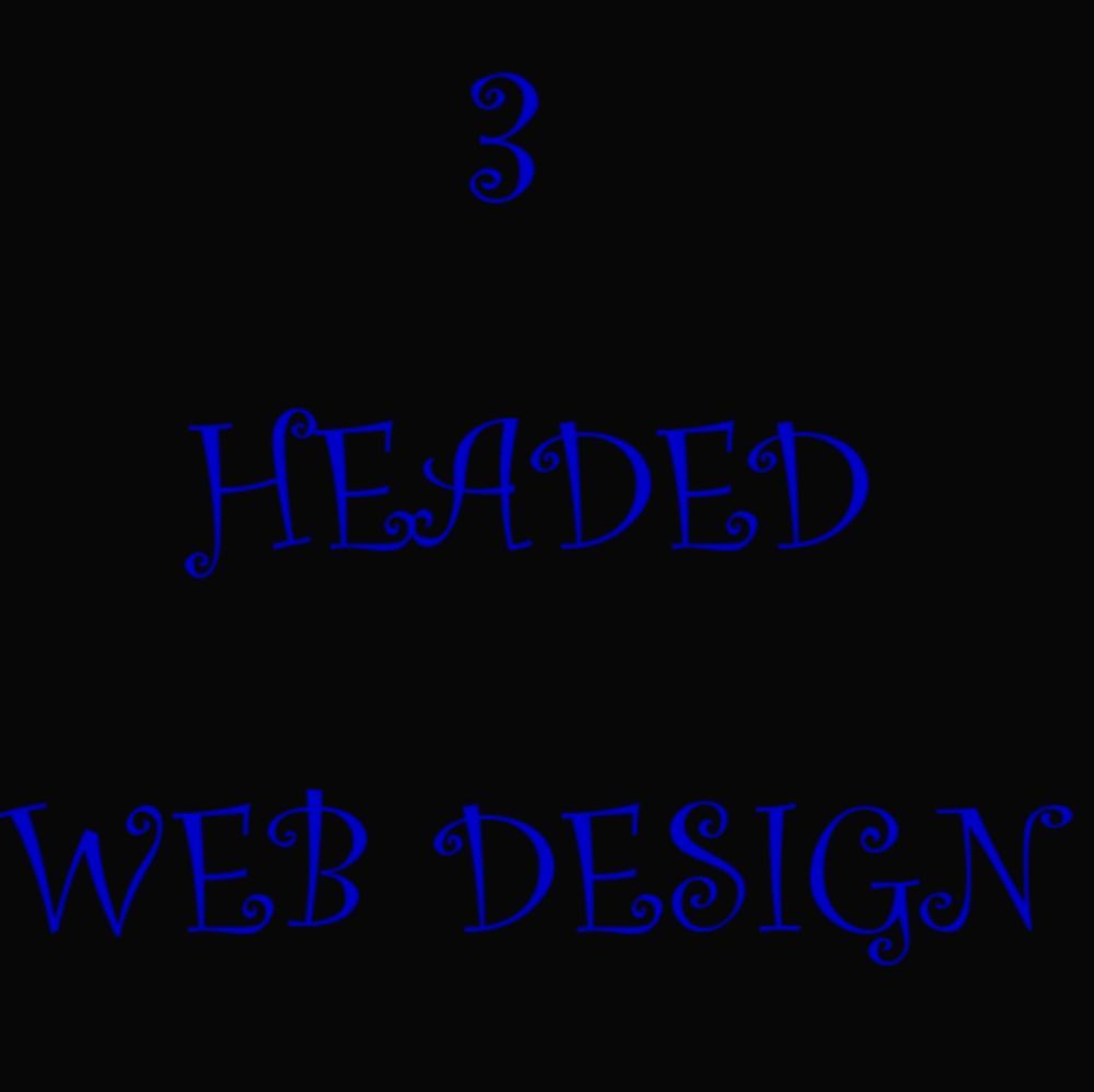 Photo of 3 Headed Web Design