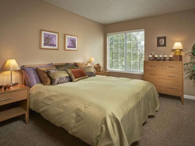 Photo of Cpm Studio