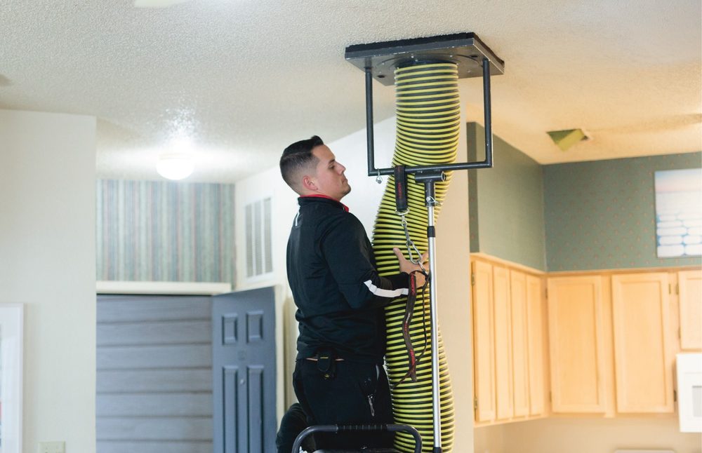 Photo of Carpet Tech