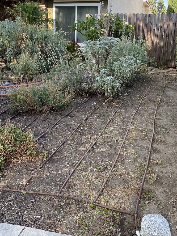 Photo of California Green Irrigation and Landscape