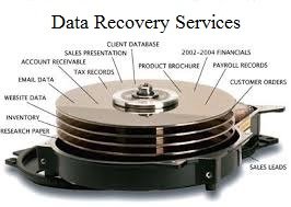 Photo of Camas Technology Specialists