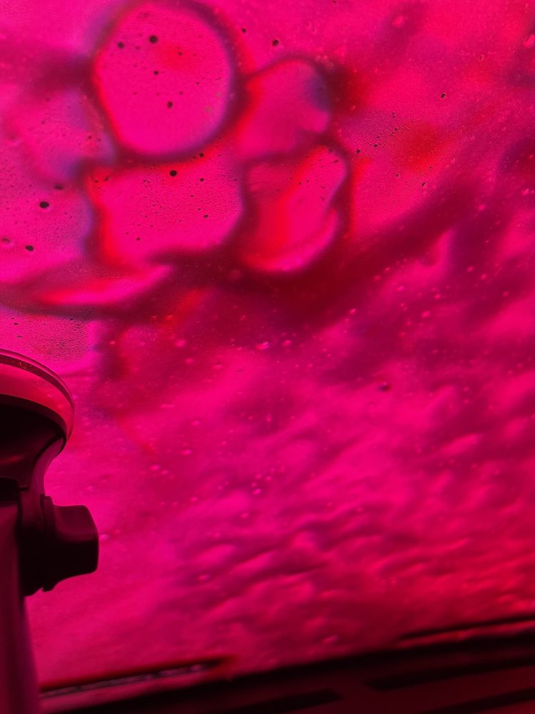 Photo of GO Car Wash - Tropicana