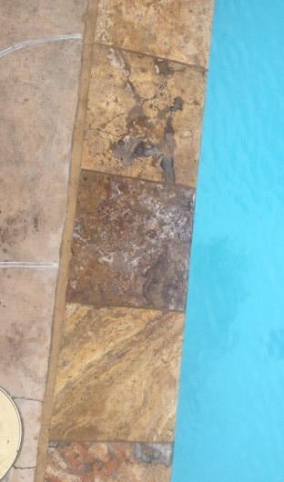 Photo of The Pool Scrubbers