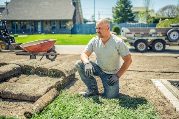 Photo of Marquez Lopez Landscape and Maintenance