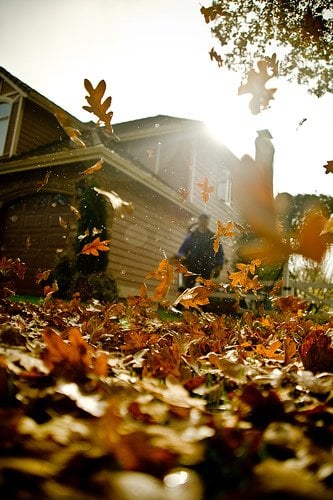Photo of Ludy's Landscaping