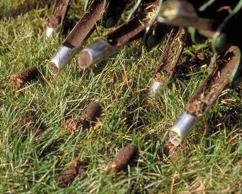 Photo of Ludy's Landscaping