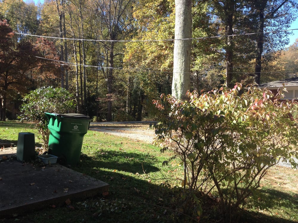 Photo of Matthews Lawn Care