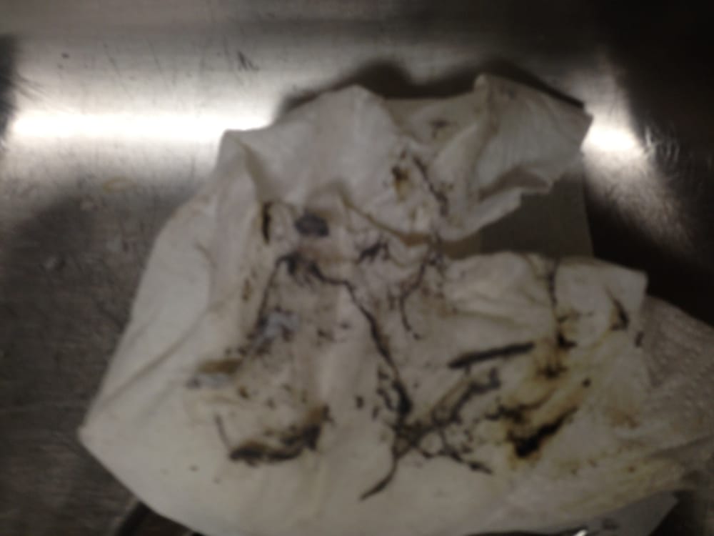 Photo of Honey Bees Cleaning and Janitorial Services