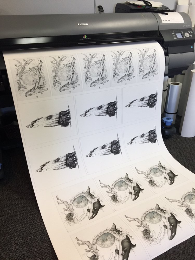 Photo of Evo Digital