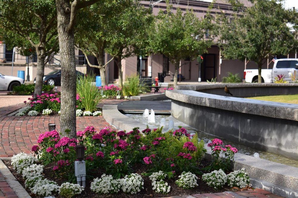 Photo of Earth Creations Landscaping
