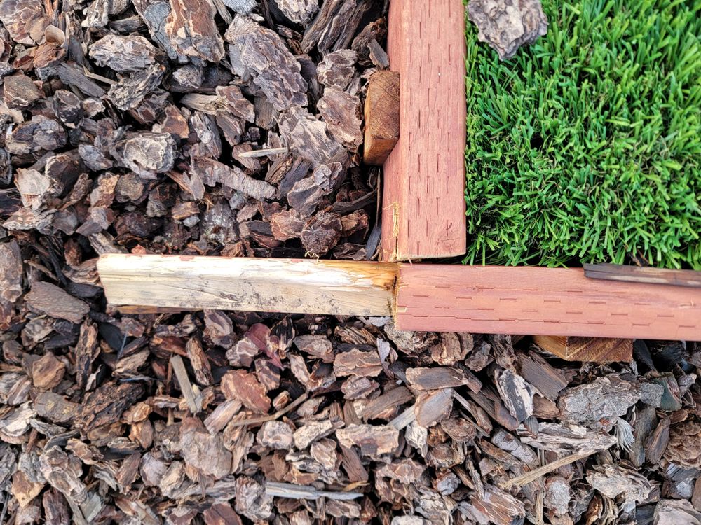 Photo of Tough Turtle Turf