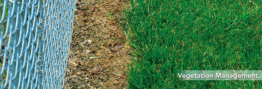 Photo of Southern Spray