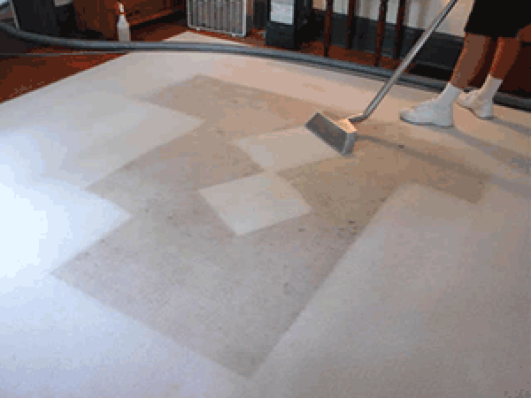 Photo of Green Choice Carpet