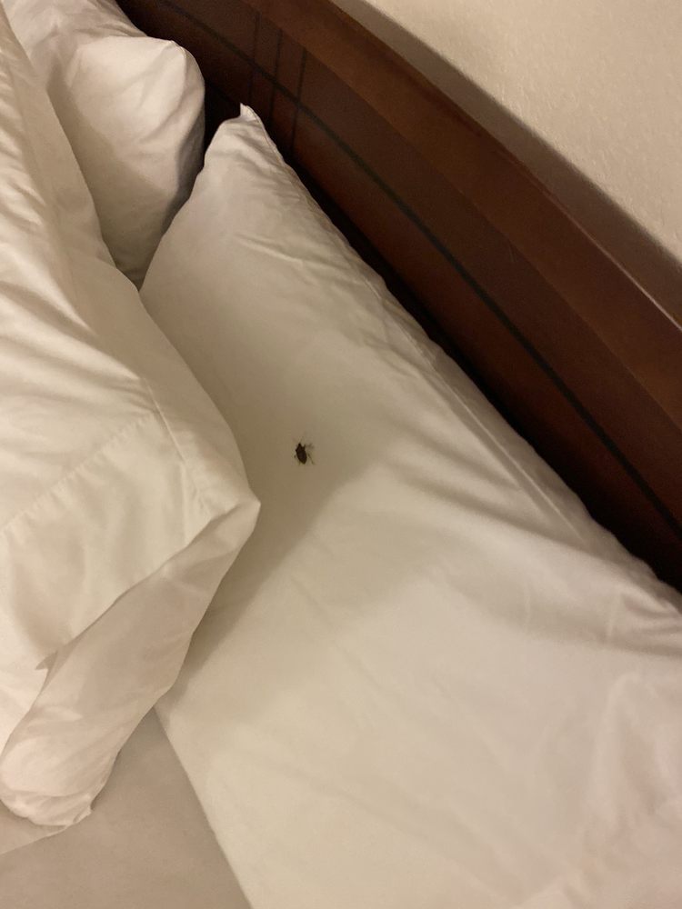 Photo of Staybridge Suites Indianapolis-Airport