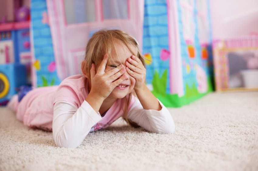 Photo of EcoCarpet Cleaning Service