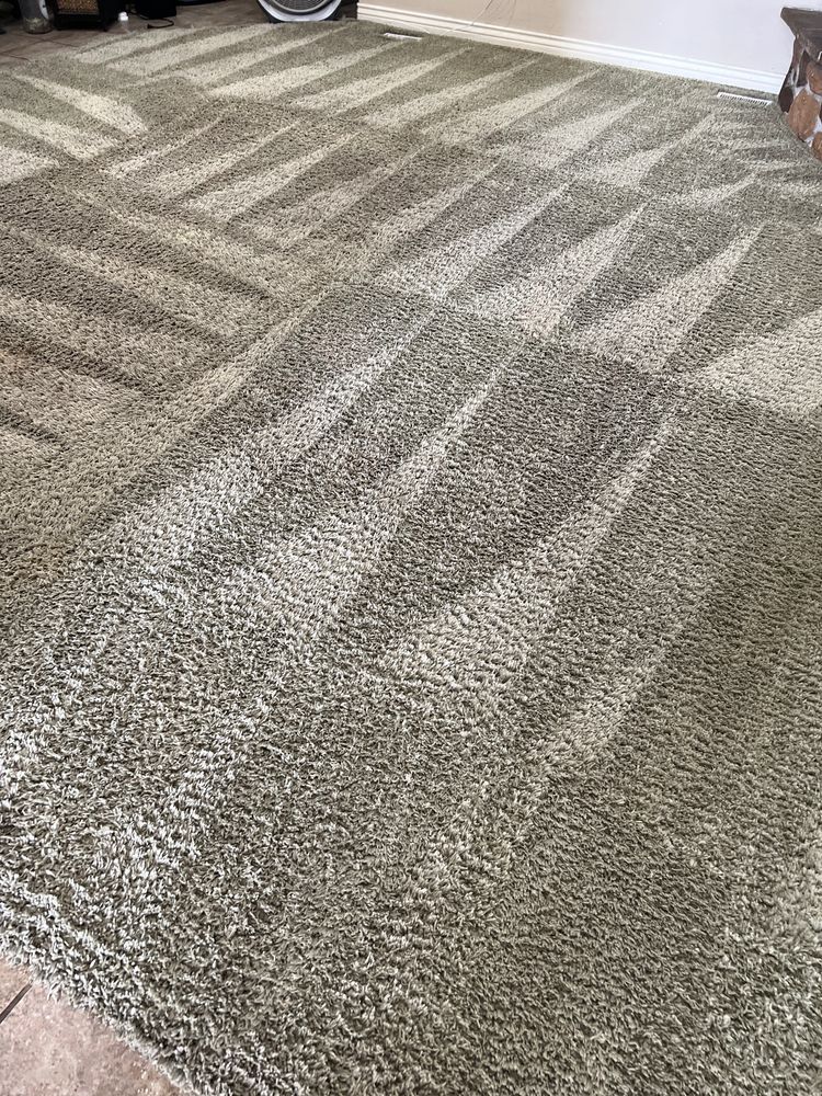 Photo of EcoCarpet Cleaning Service