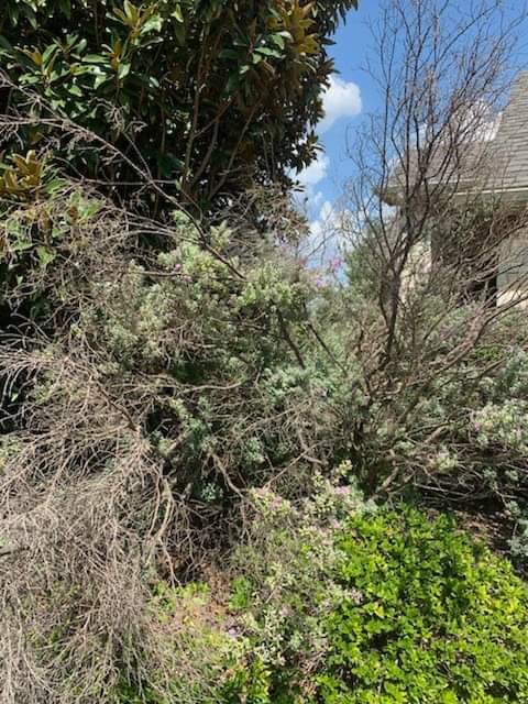 Photo of All About The Yard