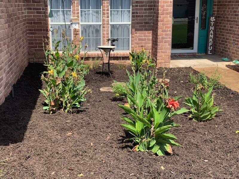 Photo of All About The Yard