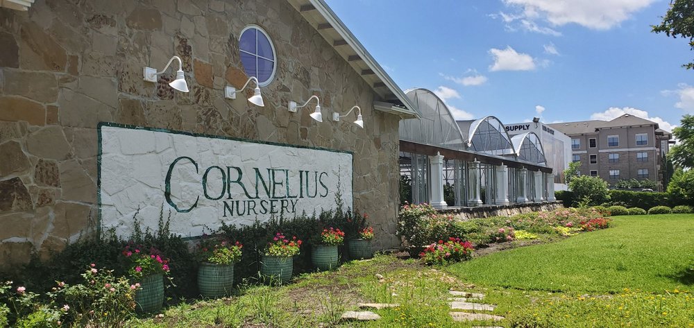 Photo of Cornelius Nursery