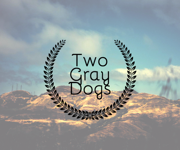 Photo of Two Gray Dogs Investments