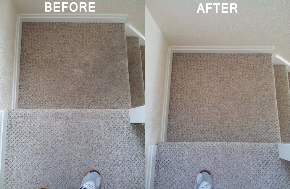 Photo of Carpet Cleaning